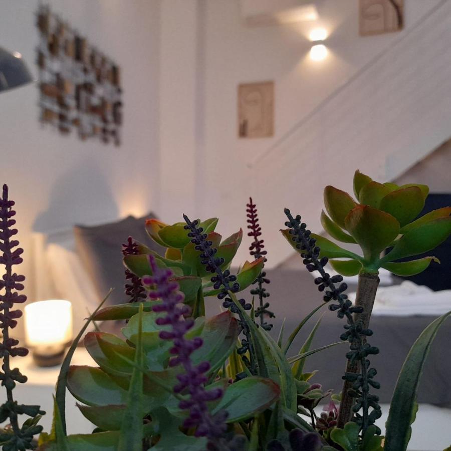 Miriam Loft S.Orsola Bologna Apartment Exterior photo